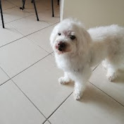 Profile Picture of Erik Fernandez (@erikfernandez4494) on Youtube