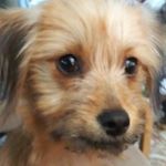 Profile Picture of Richard Hamblin (@zombievodo) on Instagram