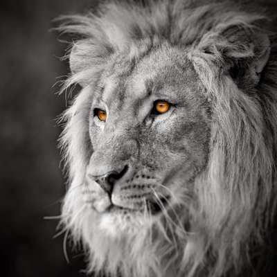 Profile Picture of Jeremy Isaacs (@AtanRaca) on Twitter