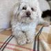 Profile Picture of Roberta Lawrence (@roberta.lawrence.16) on Facebook