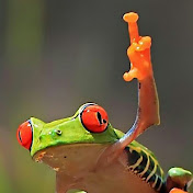 Profile Picture of Jacob Seiler (@jacobseiler3133) on Youtube