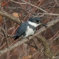 Profile Picture of Kim Chulufas (@kim-chulufas) on Quora