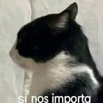 Profile Picture of Sander Bratt (@Sander-Bratt) on Facebook