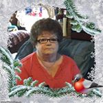 Profile Picture of Lois Wolfe (@loiswolfe67) on Instagram