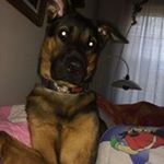 Profile Picture of Alex Tigges (@supercomic_nerd) on Instagram