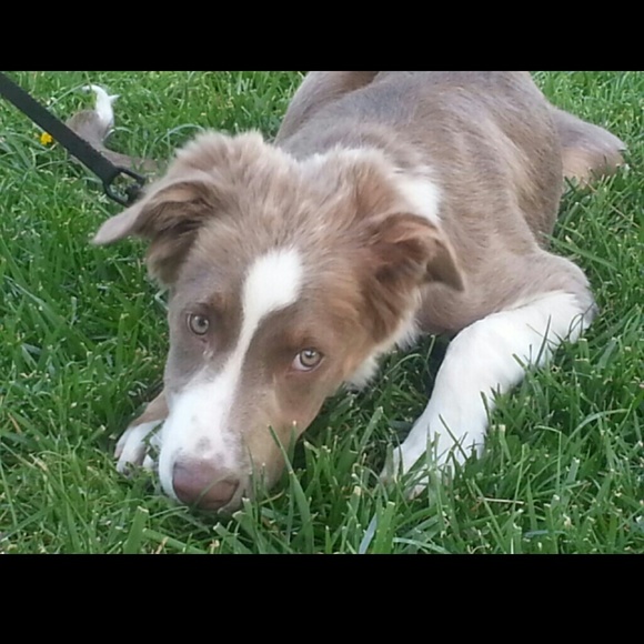 Profile Picture of Pamela Jones (@pspjones) on Poshmark