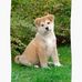 Profile Picture of Louise Laughlin (@louise.laughlin.790) on Facebook