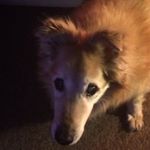 Profile Picture of mandy (@mandy60connor) on Instagram