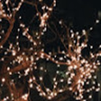 Profile Picture of Carli Pulver (@carli-pulver) on Quora