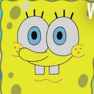 Profile Picture of - (@Mina11Mohammadi) on Twitter