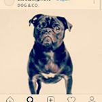 Profile Picture of benjamin morera (@mrenzi41) on Instagram