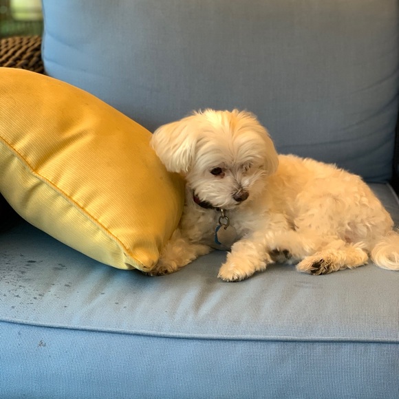 Profile Picture of Robert Fitzgerald (@robertfitzge956) on Poshmark