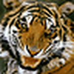 Profile Picture of John Grant (@savvy2013) on Flickr