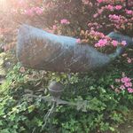 Profile Picture of Meredith Johnston Sharp (@merbear726) on Instagram