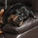 Profile Picture of Michelle Staggs (@mstaggs68) on Instagram