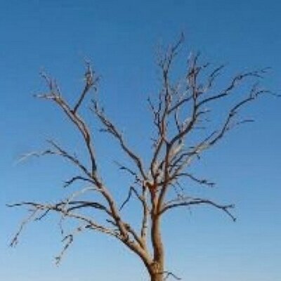 Profile Picture of Richard Sowden (@nedwos1) on Twitter