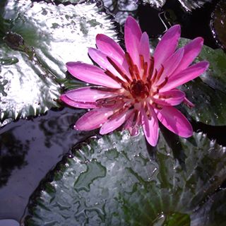 Profile Picture of Gail Kelso (@gai.kelso) on Facebook