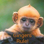 Profile Picture of Svee Wheeler (@sveewheeler) on Flickr