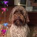 Profile Picture of Ellen Lackey (@ellen.lackey1) on Facebook