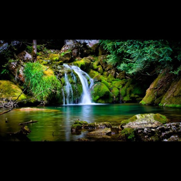 Profile Picture of Lisa Ozigbo (@lisaozi) on Poshmark