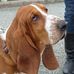 Profile Picture of Herbert PattendenSteed (@herbert.pattendensteed) on Facebook