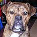 Profile Picture of nathan stack (@nathans2266) on Pinterest