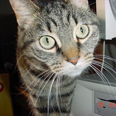 Profile Picture of Roberta Clements (@bobi932) on Twitter