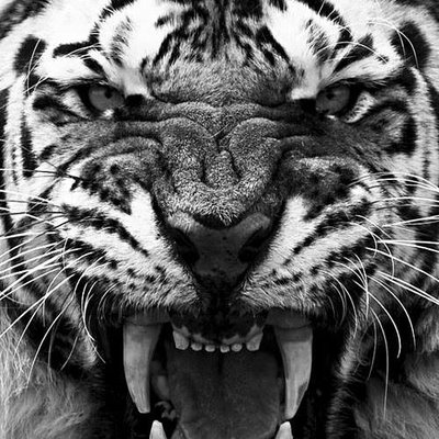 Profile Picture of Kevin Laverty (@KevinLaverty67) on Twitter