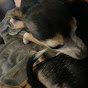 Profile Picture of Paulann Rhodes (@@paulannrhodes) on Tiktok