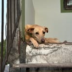 Profile Picture of Tana Conci (@Tana-Conci) on Facebook