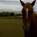 Profile Picture of Kathy Vitek Waggoner (@lindakathleen.vitekwaggoner) on Facebook