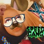 Profile Picture of chloe proctor (@redneck_queen_forever) on Instagram