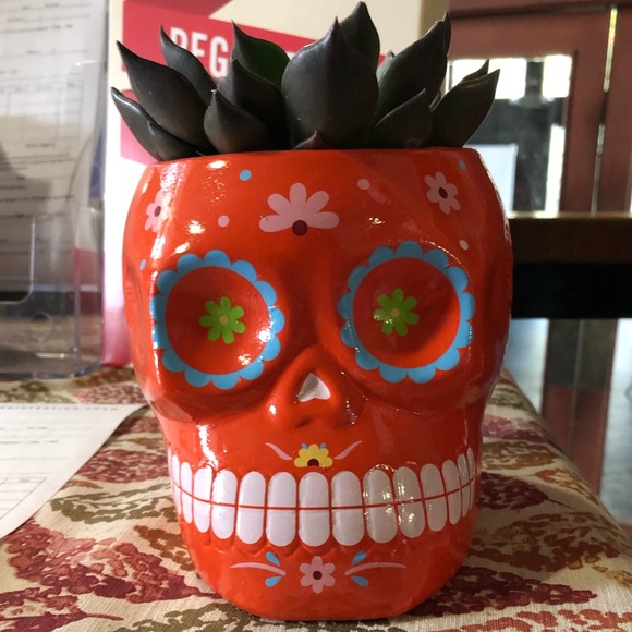 Profile Picture of Dave Martinez (@dcmartinez18) on Poshmark