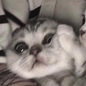 Profile Picture of Tamara Lorenzo (@tamaralorenzo5) on Youtube