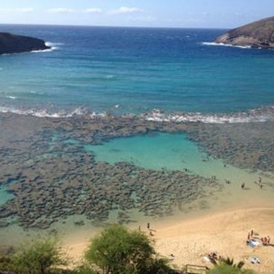 Profile Picture of Beth (@B_Savidge) on Twitter