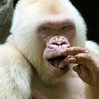 Profile Picture of Felix Cordova (@felix-cordova) on Quora