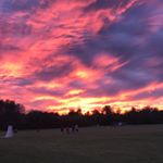 Profile Picture of mark_ferreri (@mark_ferreri) on Instagram