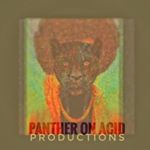 Profile Picture of Randy Weber (@panther.on.acid.productions) on Instagram