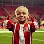 Profile Picture of Bradley (@piccolobradley11) on Instagram