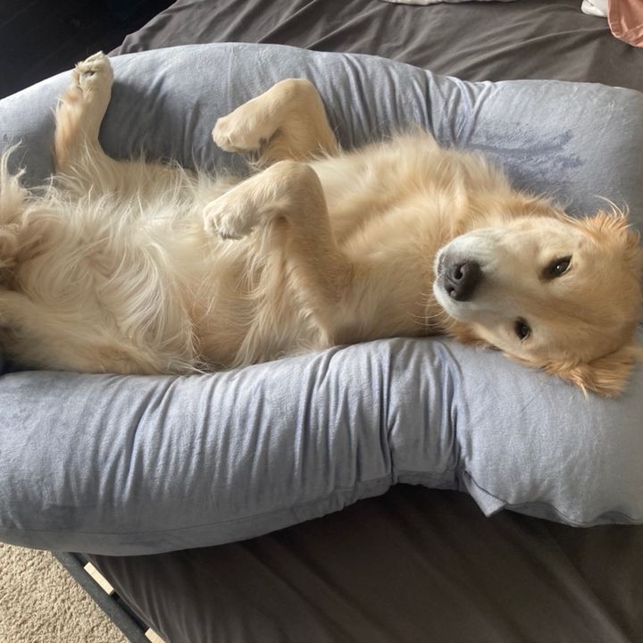 Profile Picture of alex murray (@@alexmurray057) on Tiktok
