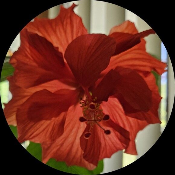 Profile Picture of Barbara Michalik (@bam925) on Poshmark