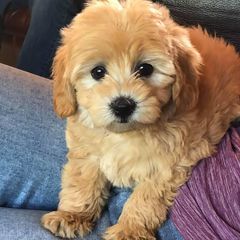 Profile Picture of Jerry Witcher963 (@jerrywitcher4) on Tiktok