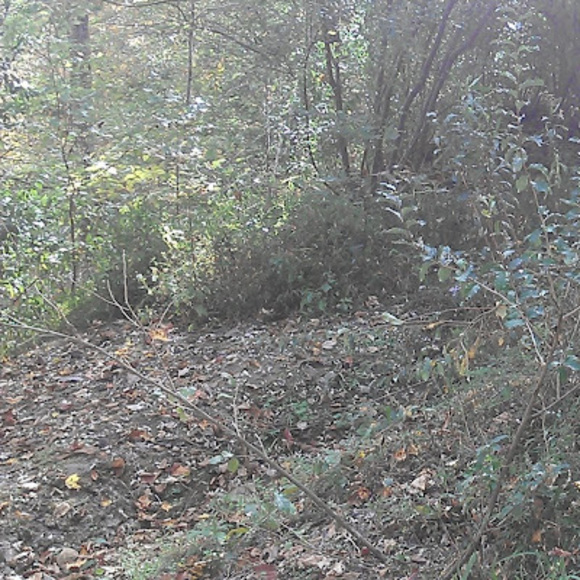 Profile Picture of Jonathan Williamson (@soildwaste77) on Poshmark