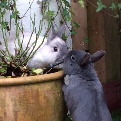 Profile Picture of Daniel Wootton (@Dan_studio15) on Twitter