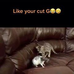 Ryan Marcotte643 - Tiktok Profile Picture of Ryan Marcotte643 (@@ryanmarcotte2) on Tiktok