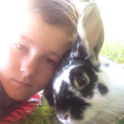 Profile Picture of Alex Mulholland (@alexmulholland8106) on Youtube