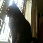 Profile Picture of Ho Tak Yip (@yip.ho) on Instagram