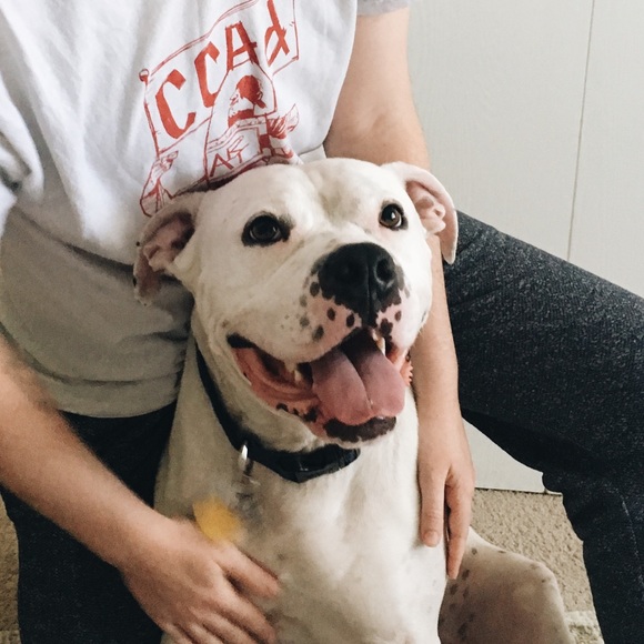 Profile Picture of Jenn Eidemiller (@jenneidemiller) on Poshmark