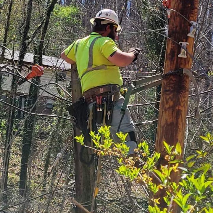 Profile Picture of Barry Lanham (@barry44lanham) on Tiktok