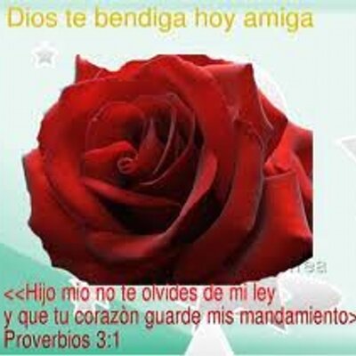 Profile Picture of Yahaira Jimenez (@yahaira1819) on Twitter